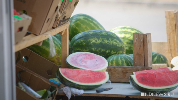 Санврачи напомнили, как правильно выбрать арбуз