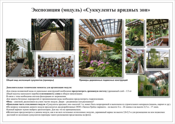 Орхидеи, суккуленты, папоротники: сотрудники ботсада ЧелГУ рассказали о зеленом атриуме, который появится в кампусе Орхидеи, суккуленты, папоротники: сотрудники ботсада ЧелГУ рассказали о зеленом атриуме, который появится в кампусе