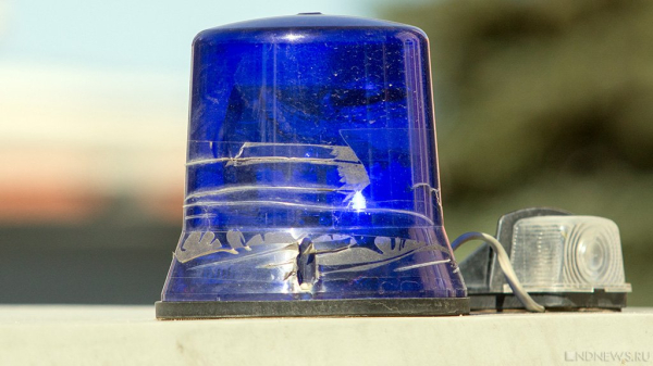 Мошенник выдал себя за губернатора Петербурга и похитил у пенсионера 20 млн рублей