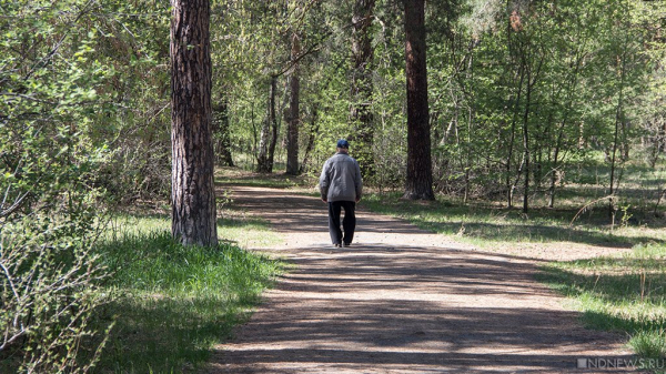 Быстрая ходьба по 15 минут в день помогает здоровью не хуже спортзала