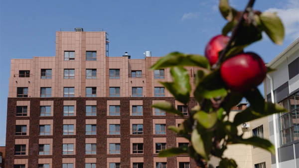 Орхидеи, суккуленты, папоротники: сотрудники ботсада ЧелГУ рассказали о зеленом атриуме, который появится в кампусе Орхидеи, суккуленты, папоротники: сотрудники ботсада ЧелГУ рассказали о зеленом атриуме, который появится в кампусе