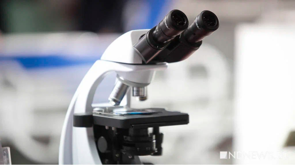 Люди все чаще болеют гельминтозами, причем часто – скрытыми