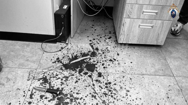 Кровавая расправа подчиненного: в Москве сотрудник Сбера зарезал свою начальницу