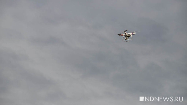 Над Воронежской областью сбиты не менее трех беспилотников