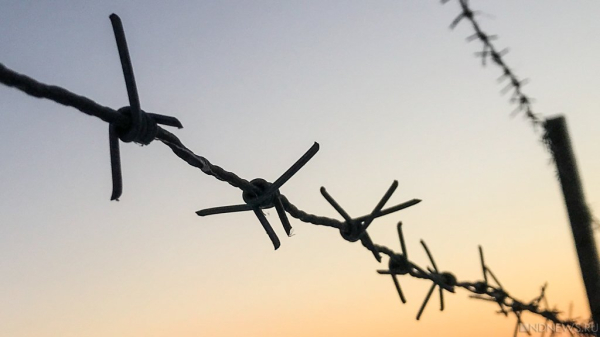 Европа создает «занавес из колючей проволоки» из-за катастрофического положения – МИД России