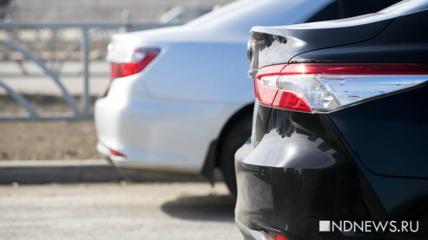 Путин поддержал: в России начнут продавать красивые автономера на «Госуслугах»