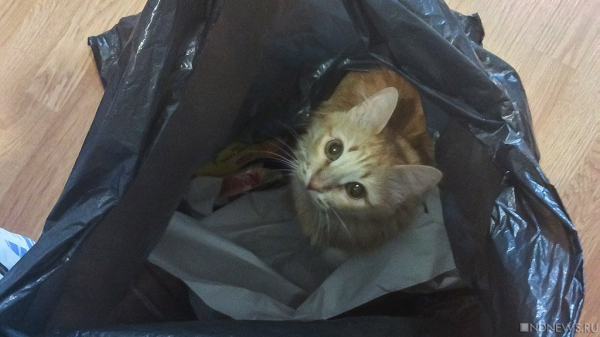 19 сентября ожидаются следующие события – Челябинск