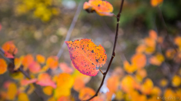 9 октября ожидаются следующие события – Челябинск